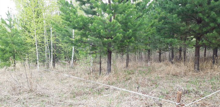 Участок 8 сот. (СНТ, ДНП)