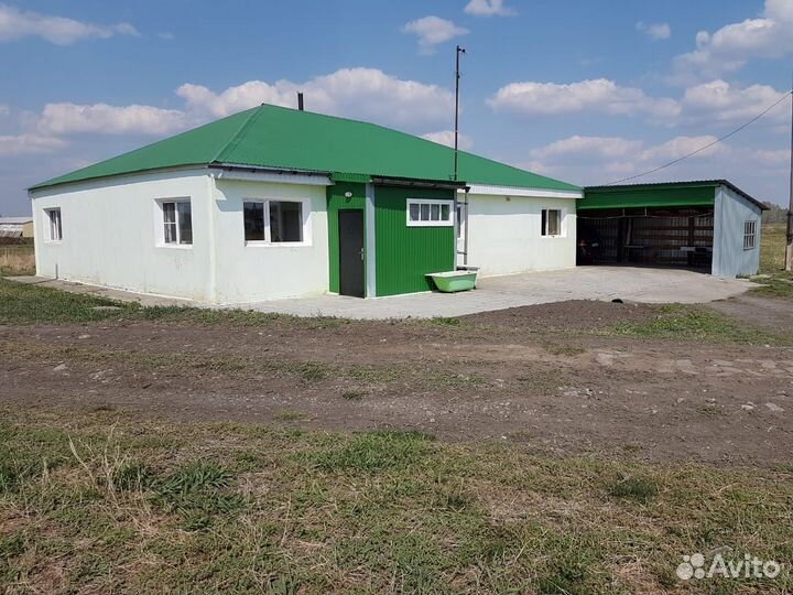 Ферма животноводческая