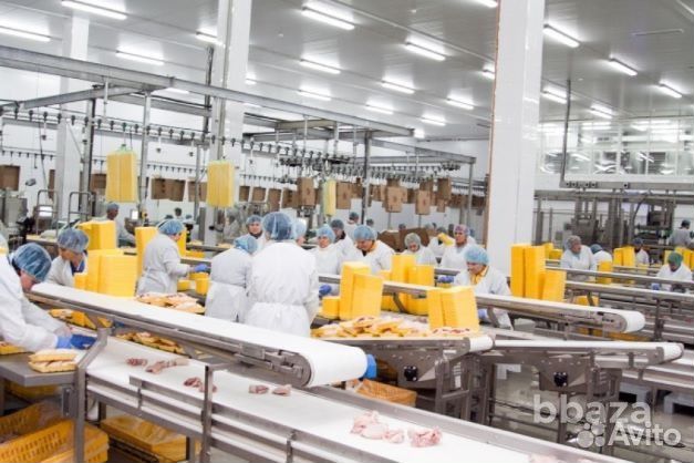 Обработчики куриных полуфабрикатов