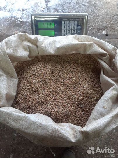 Комбикорм для всех видов животных