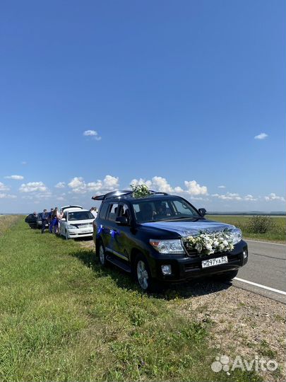 Аренда авто трансфер