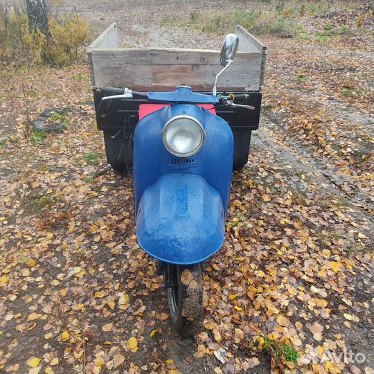 Мураш