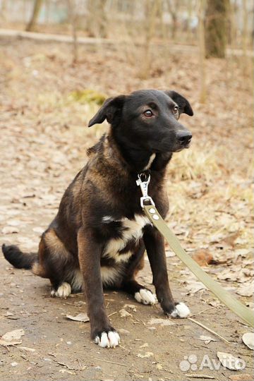 Верочка в добрые руки