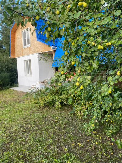 Дача 28 м² на участке 5 сот.