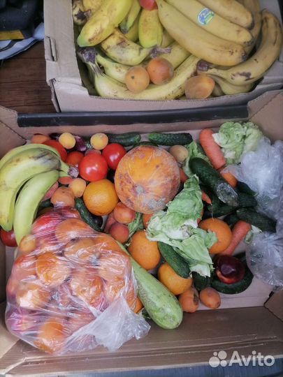 Корм для животных