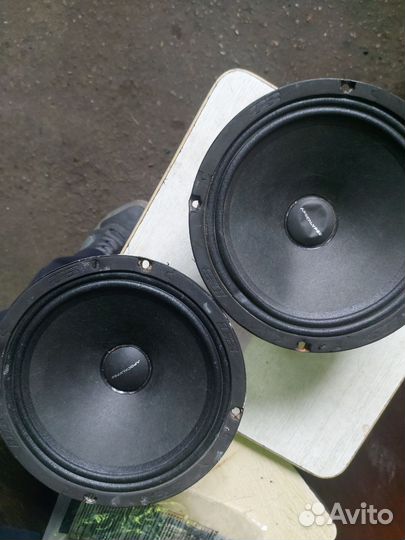 20 дюймовые динамики