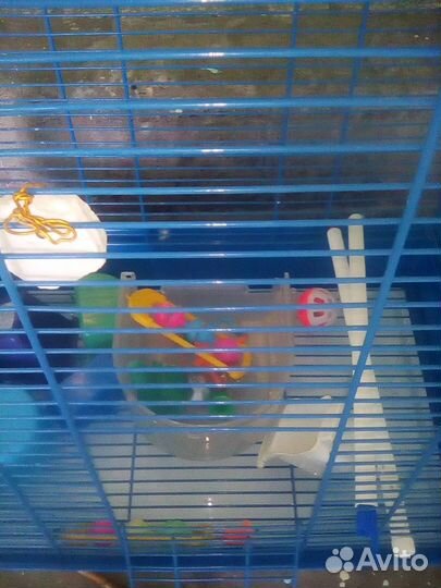 Клетка для птиц