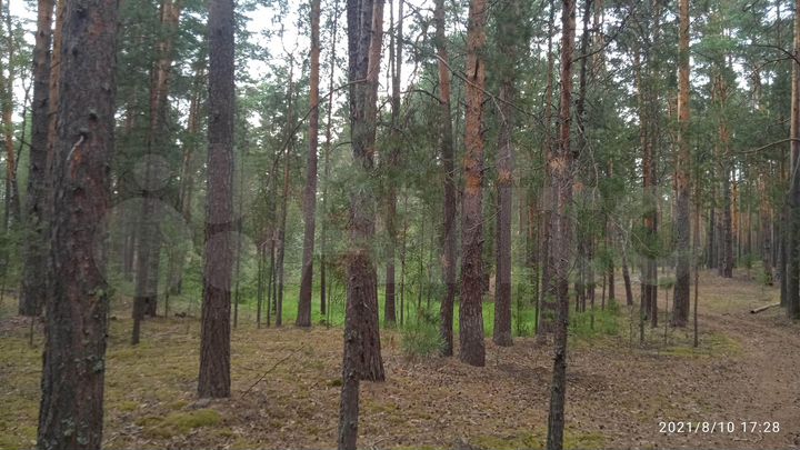 Участок 70 га (ИЖС)