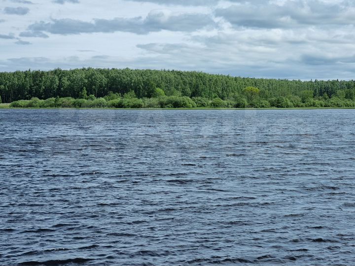 Участок 42,54 га (ИЖС)