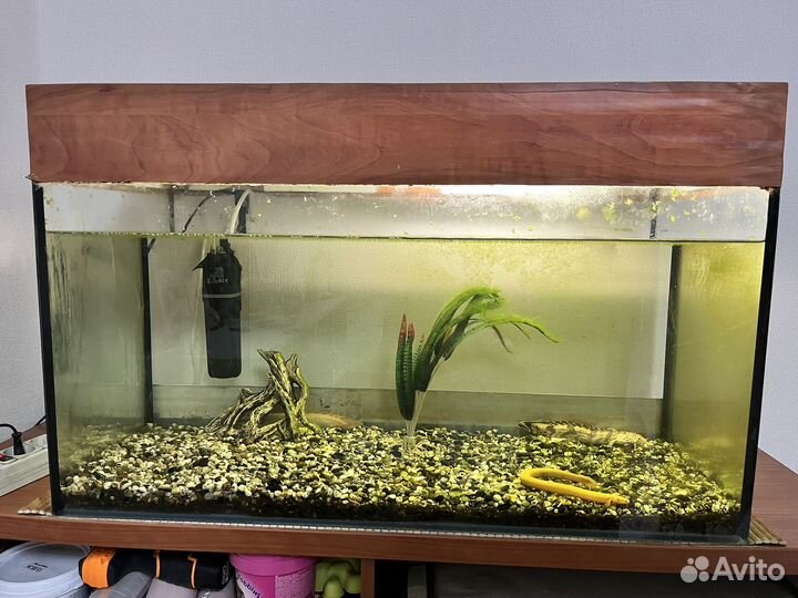 Аквариум