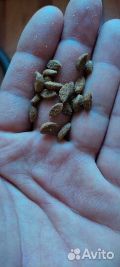 Сухой корм для кошек brit premium CAT sterilized