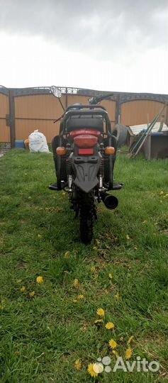 Alpha FX 125