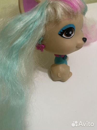 Vip pets собачка