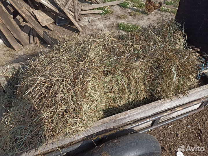 Сено в тюках