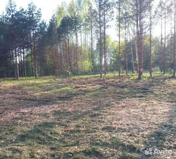 Расчистка участка без посредников. Спил деревьев