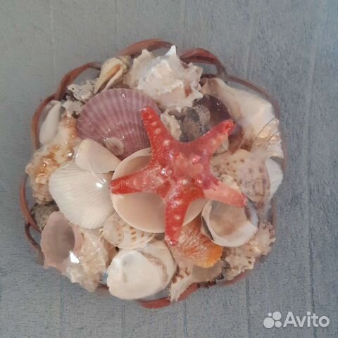 Ракушки морские для аквариума