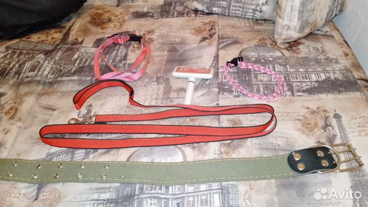 Амуниция для собак