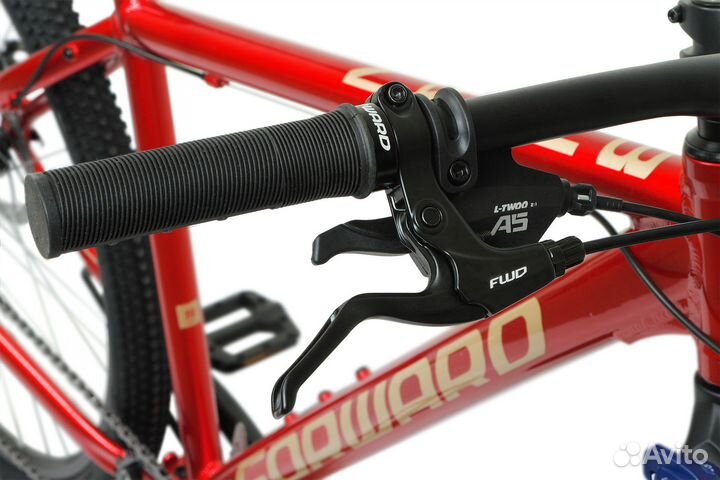 Forward buran 29 2.0 disc