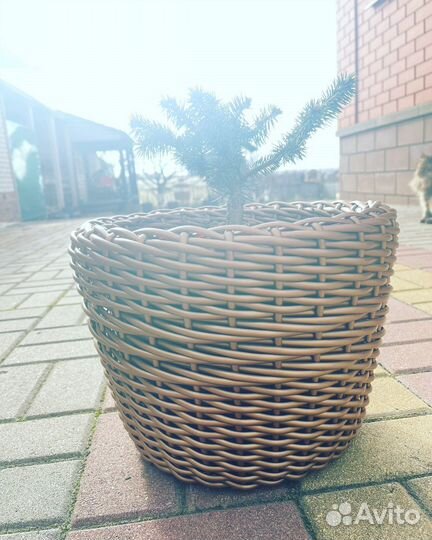 Продам кашпо из ротанга