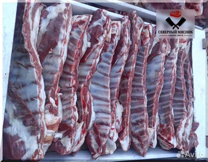 Мясо баранина тушка