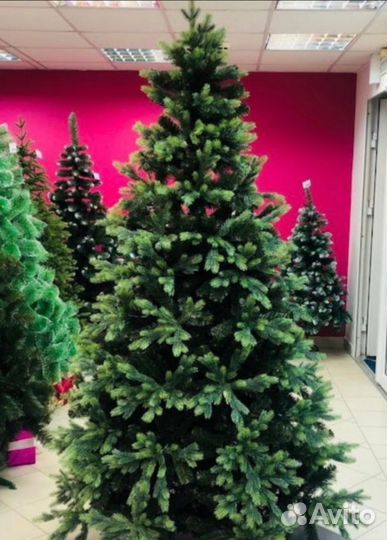 Ель Финская premium - АВТОМАТИКА