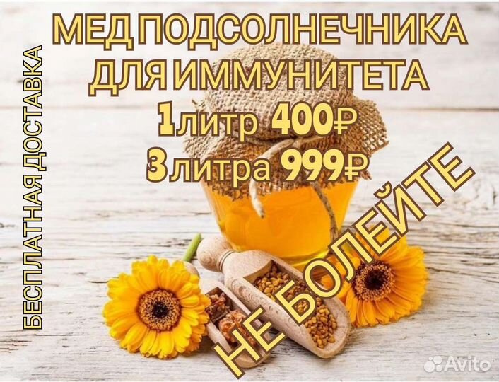 Мед подсолнечника