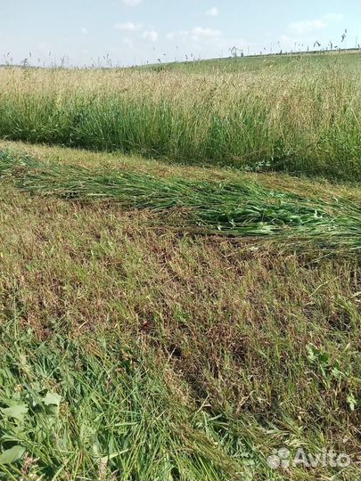 Сено луговое, солома в тюках