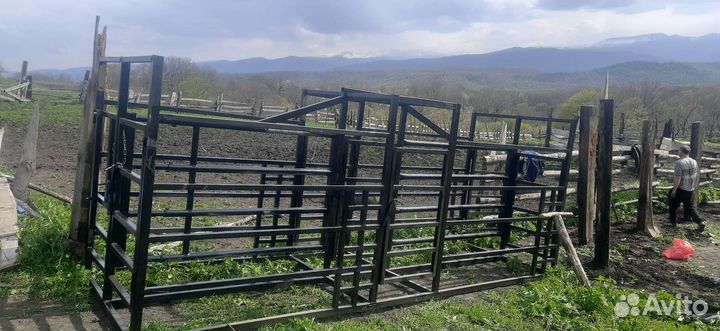 Раскол станок для обработки крс и Лошадей