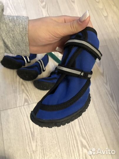 Обувь для средних собак