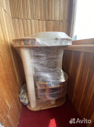 Кошачий комплекс