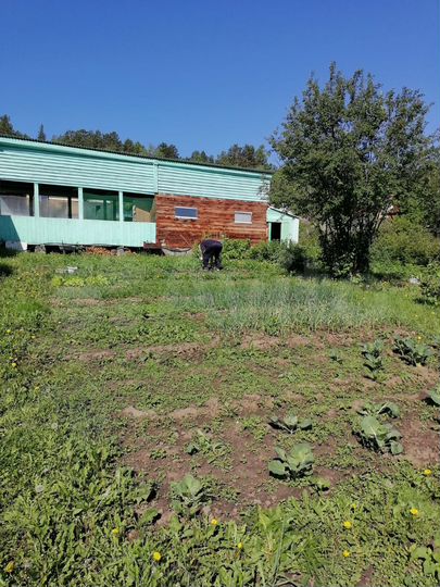 Дача 36 м² на участке 8 сот.