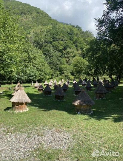 Экскурсии в абхазию