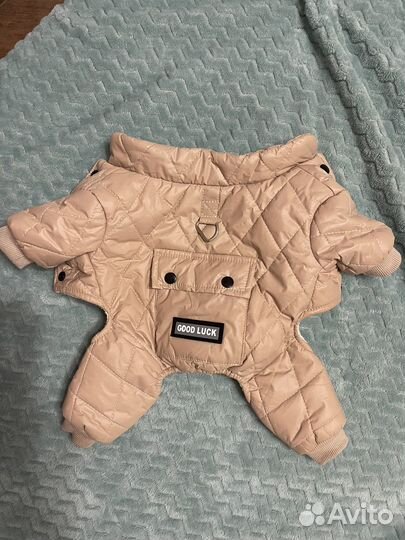 Одежда для маленьких собак