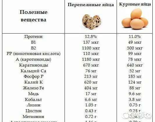 Яйца перепелиные и куриные домашние