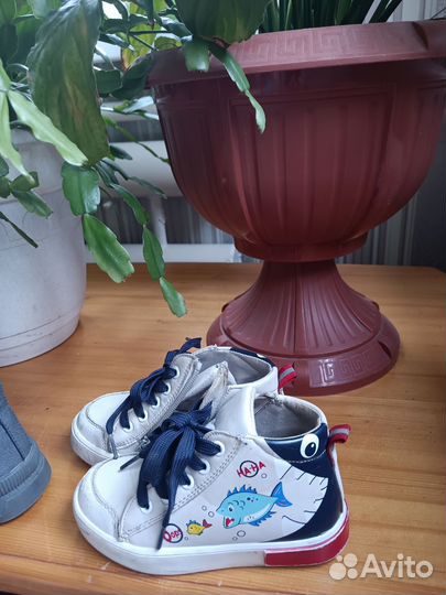 Демисезонные ботинки