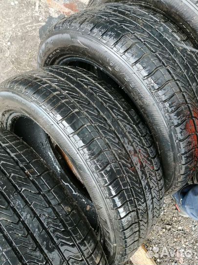 Triangle TR216 19.5/55 R16