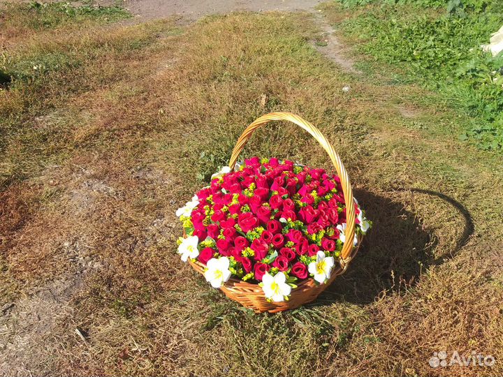 Гиппиаструм