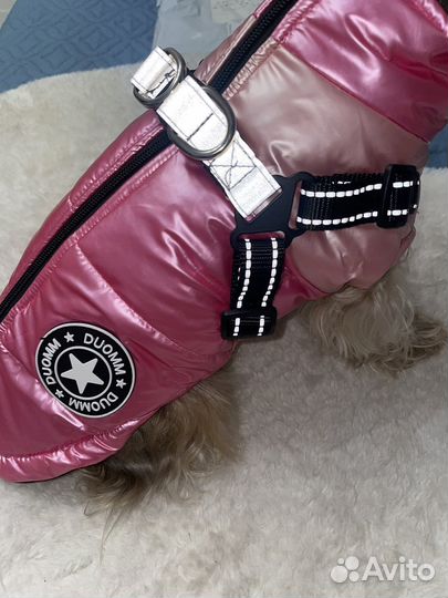 Жилетка для маленьких собак