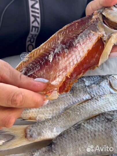 Вобла вяленая с икрой