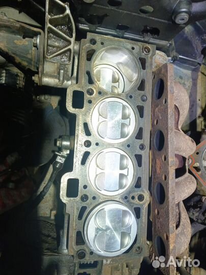 Поршня ваз 21124