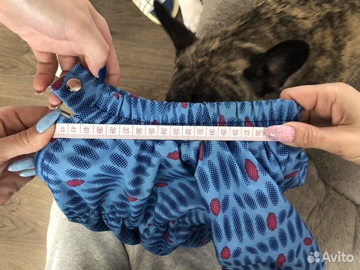 Дождевик для собак