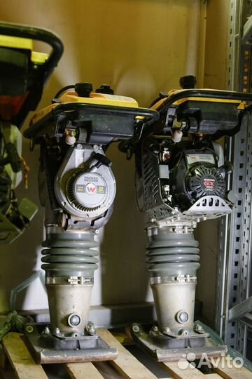 Вибротрамбовки Wacker Neuson в аренду