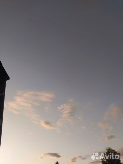 Сено в рулонах 2023 150 рулонов