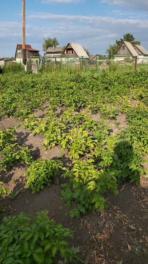 Дача 20 м² на участке 4 сот.