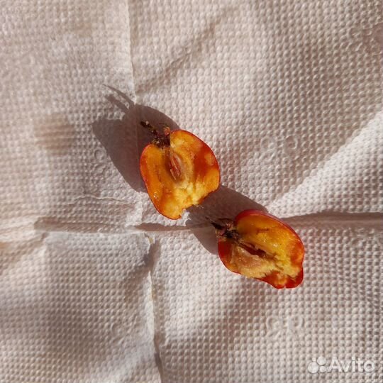 Боярышник плоды