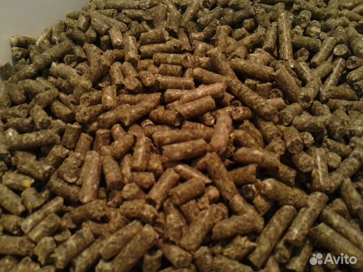 Корма для шиншилл и грызунов: гранулы и микс