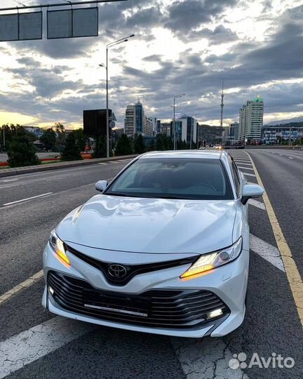 Омск-Павлодар-Омск (такси)