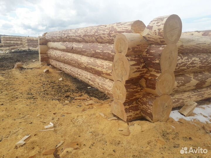 Сруб бани и дома