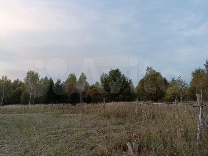 Участок 3,94 га (СНТ, ДНП)