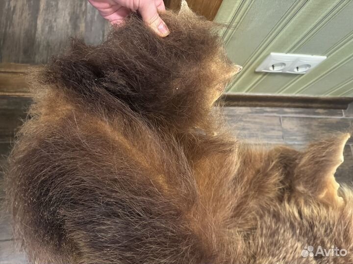 Шкура медведя имитация